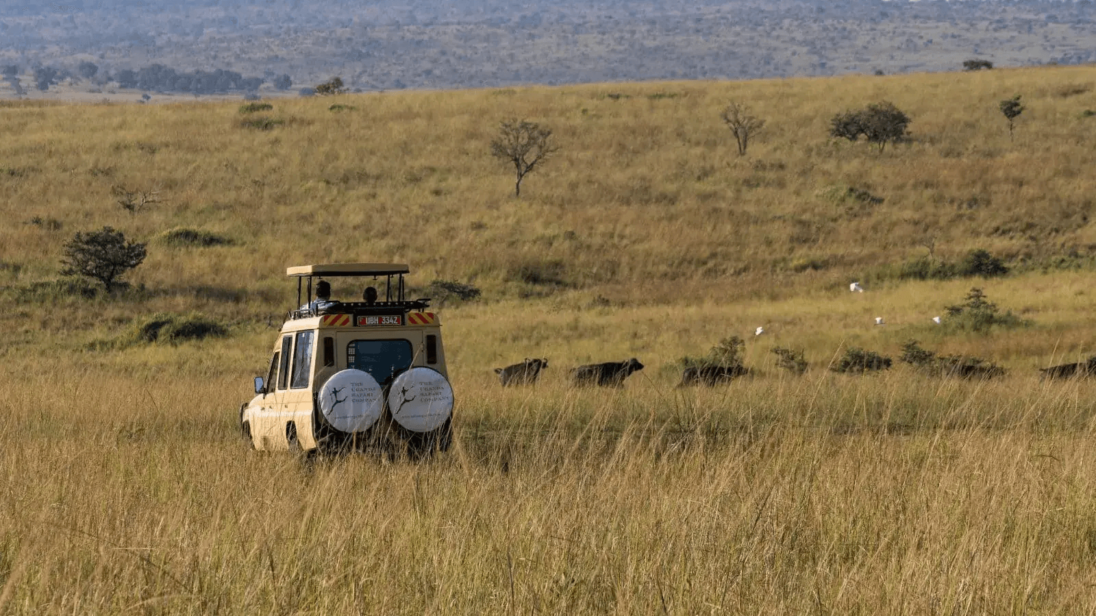 Papa's Camp » Oeganda » Matoke Tours